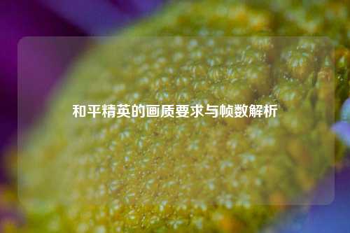 和平精英的画质要求与帧数解析