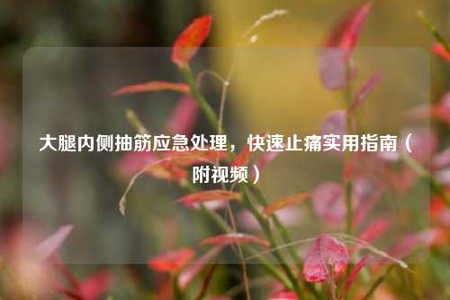 大腿内侧抽筋应急处理，快速止痛实用指南（附视频）