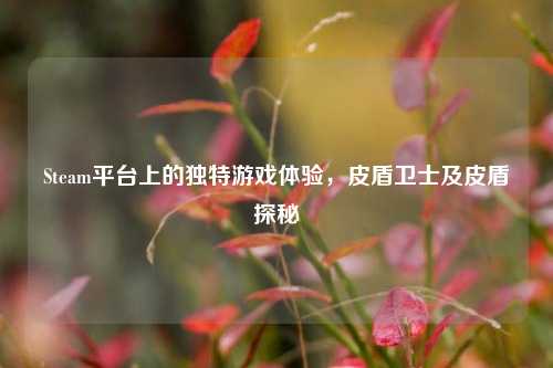 Steam平台上的独特游戏体验，皮盾卫士及皮盾探秘