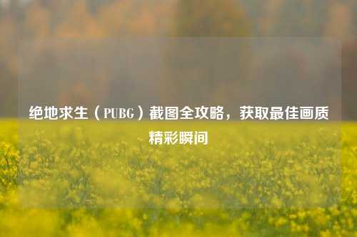 绝地求生（PUBG）截图全攻略，获取最佳画质精彩瞬间