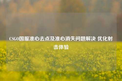 CSGO国服准心去点及准心消失问题解决 优化射击体验
