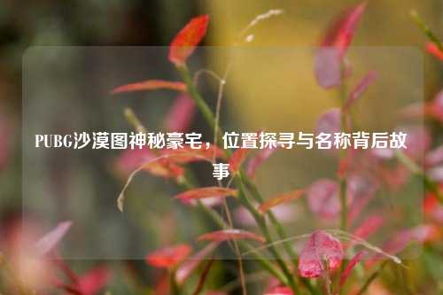 PUBG沙漠图神秘豪宅，位置探寻与名称背后故事