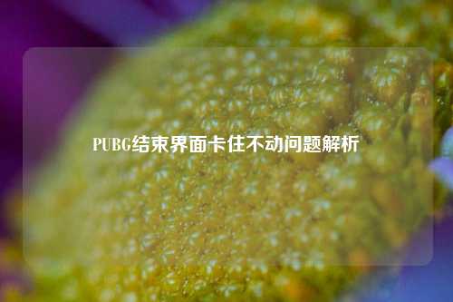 PUBG结束界面卡住不动问题解析