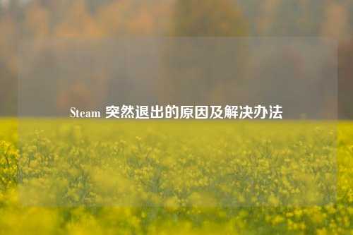 Steam 突然退出的原因及解决办法