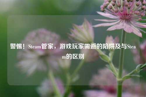 警惕！Steam管家，游戏玩家需避的陷阱及与Steam的区别