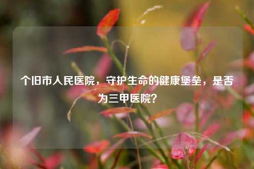 个旧市人民医院，守护生命的健康堡垒，是否为三甲医院？