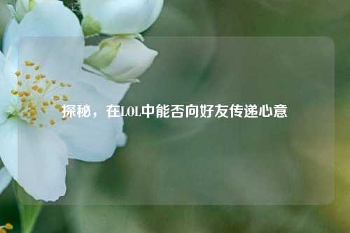 探秘，在LOL中能否向好友传递心意