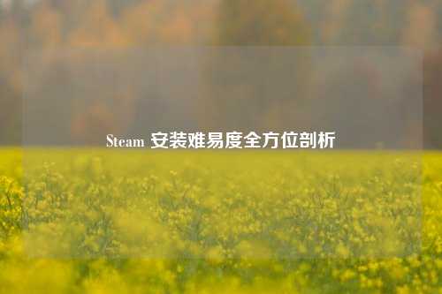 Steam 安装难易度全方位剖析