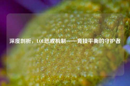 深度剖析，LOL惩戒机制——竞技平衡的守护者
