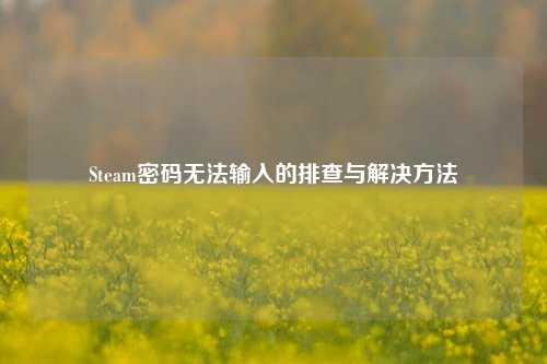 Steam密码无法输入的排查与解决方法