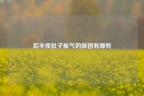 后半夜肚子胀气的原因有哪些