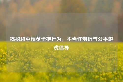 揭秘和平精英卡持行为，不当性剖析与公平游戏倡导
