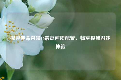 探寻使命召唤16最高画质配置，畅享极致游戏体验