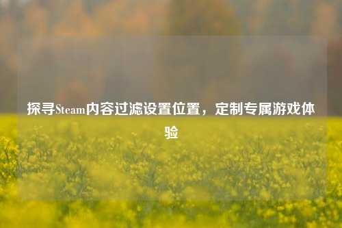 探寻Steam内容过滤设置位置，定制专属游戏体验