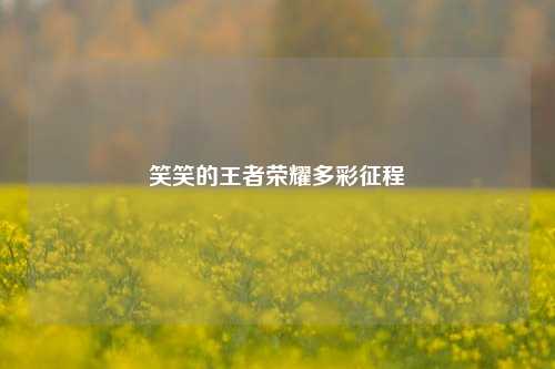 笑笑的王者荣耀多彩征程
