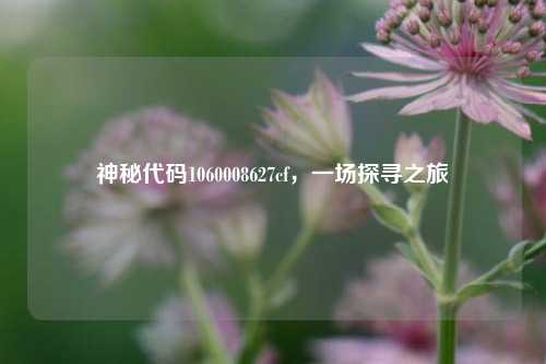 神秘代码1060008627cf，一场探寻之旅