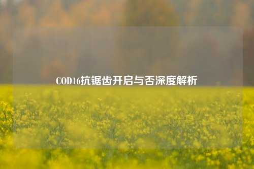 COD16抗锯齿开启与否深度解析