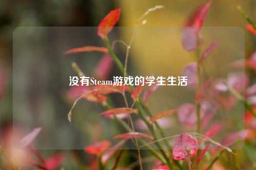 没有Steam游戏的学生生活