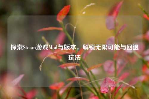 探索Steam游戏Mod与版本，解锁无限可能与回退玩法