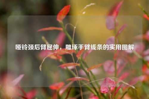 哑铃颈后臂屈伸，雕琢手臂线条的实用图解