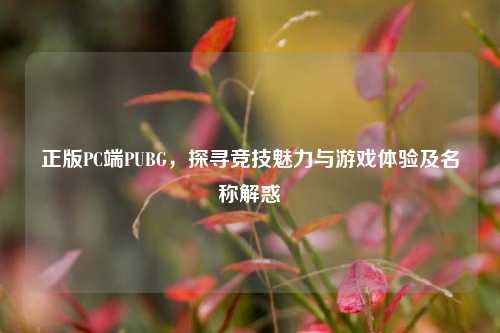 正版PC端PUBG，探寻竞技魅力与游戏体验及名称解惑