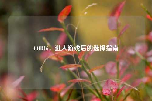 COD16，进入游戏后的选择指南