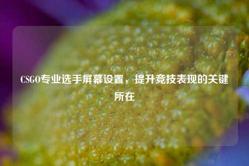 CSGO专业选手屏幕设置，提升竞技表现的关键所在