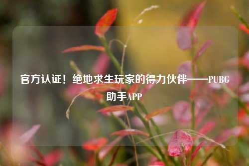 官方认证！绝地求生玩家的得力伙伴——PUBG助手APP