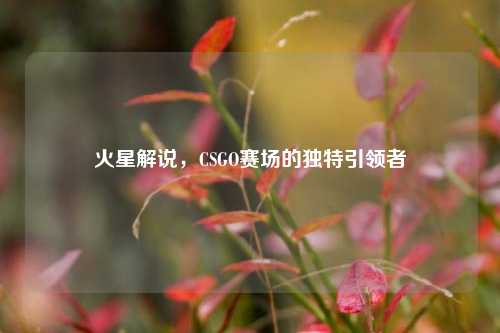 火星解说，CSGO赛场的独特引领者