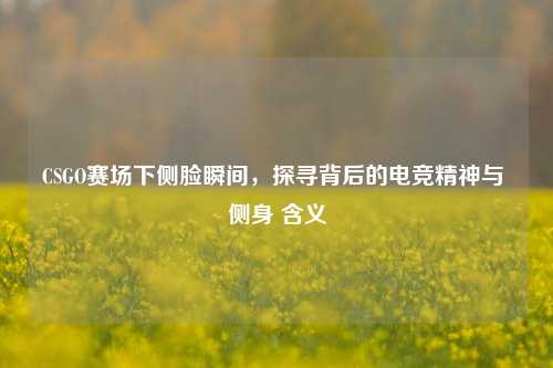 CSGO赛场下侧脸瞬间，探寻背后的电竞精神与 侧身 含义
