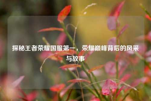 探秘王者荣耀国服第一，荣耀巅峰背后的风采与故事