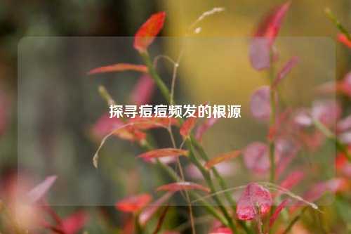 探寻痘痘频发的根源