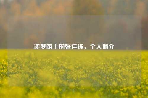 逐梦路上的张佳栋，个人简介
