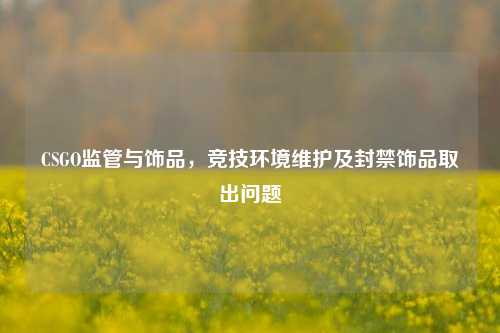 CSGO监管与饰品，竞技环境维护及封禁饰品取出问题