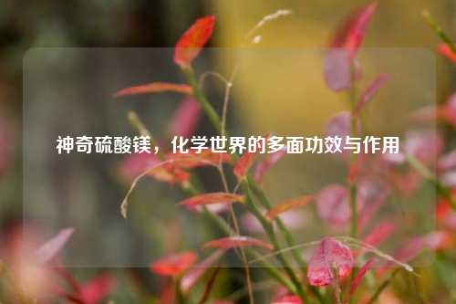 神奇硫酸镁，化学世界的多面功效与作用