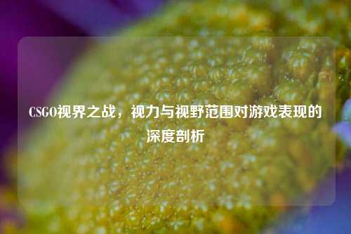 CSGO视界之战，视力与视野范围对游戏表现的深度剖析