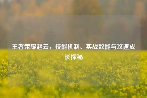 王者荣耀赵云，技能机制、实战效能与攻速成长探秘