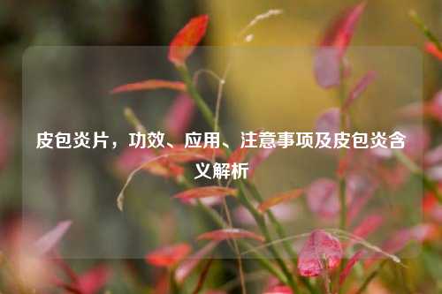 皮包炎片，功效、应用、注意事项及皮包炎含义解析