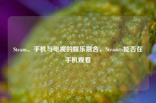 Steam、手机与电视的娱乐融合，Steamtv能否在手机观看