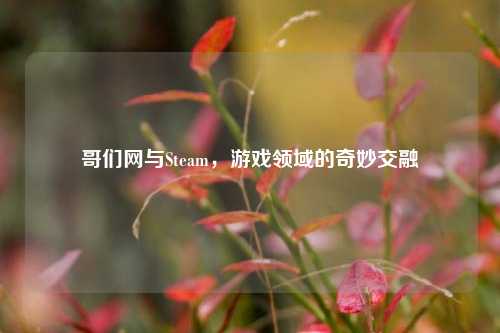 哥们网与Steam，游戏领域的奇妙交融