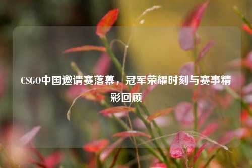 CSGO中国邀请赛落幕，冠军荣耀时刻与赛事精彩回顾