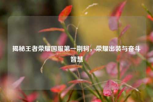 揭秘王者荣耀国服第一荆轲，荣耀出装与奋斗智慧
