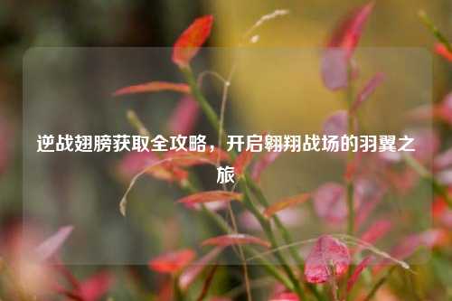 逆战翅膀获取全攻略，开启翱翔战场的羽翼之旅