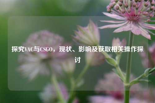 探究VAC与CSGO，现状、影响及获取相关操作探讨