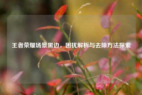 王者荣耀场景黑边，困扰解析与去除方法探索