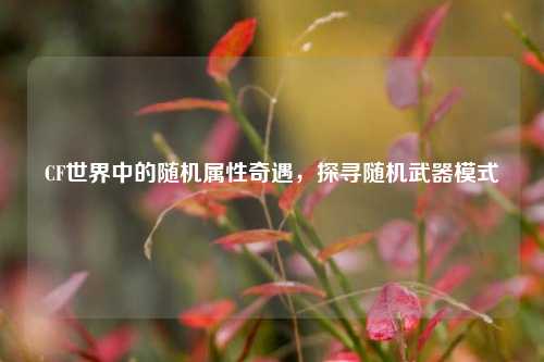 CF世界中的随机属性奇遇，探寻随机武器模式