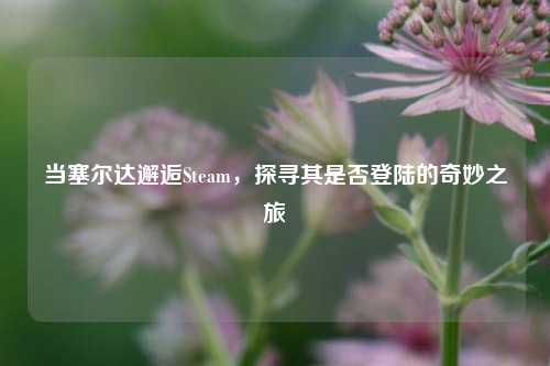 当塞尔达邂逅Steam，探寻其是否登陆的奇妙之旅