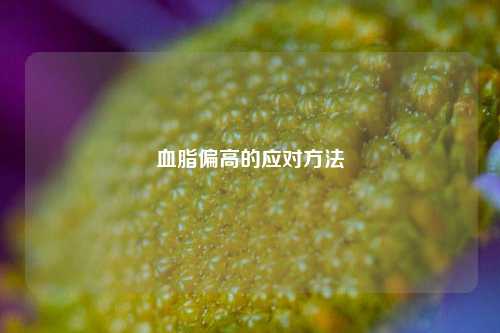 血脂偏高的应对方法