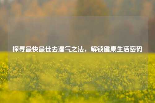 探寻最快最佳去湿气之法，解锁健康生活密码