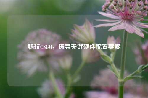 畅玩CSGO，探寻关键硬件配置要素